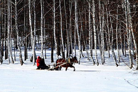 仙境般的纯白世界 这个冬假拎起行装去雪原