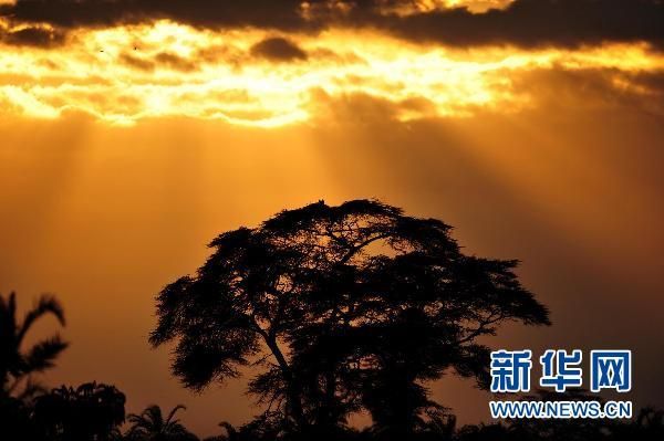 东非万花筒肯尼亚  中国游客赴肯旅游指南
