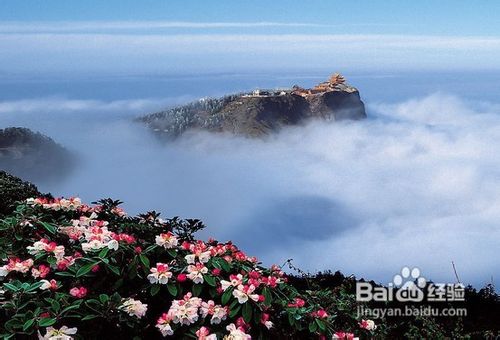 成都到乐山峨眉山旅游攻略