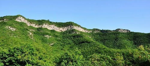 遛蛇哥养蟒19年 看与蛇有关的旅游地(图)