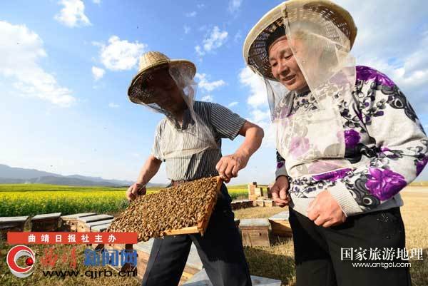 罗平县适龄人口数_云南省适龄青年报名参军人数已突破10万人(2)