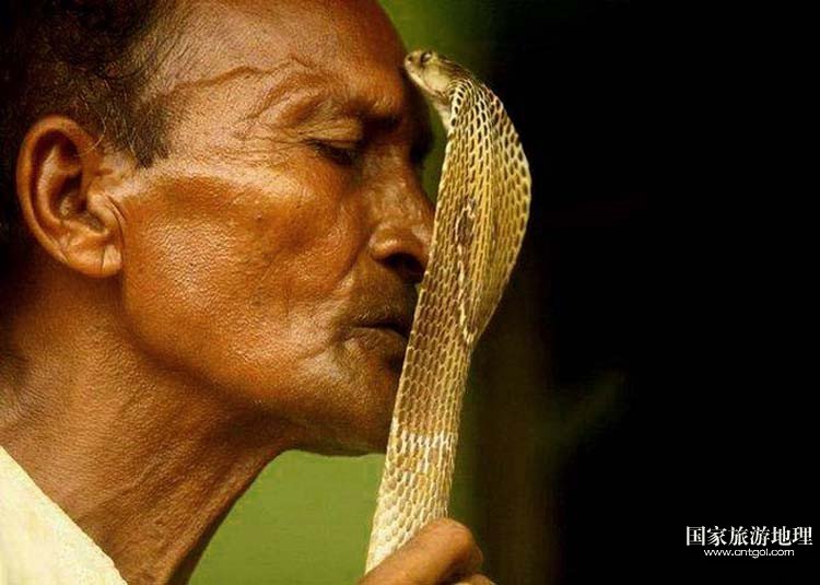 印度人对蛇崇拜5000年 盖房前先埋蛇雕像