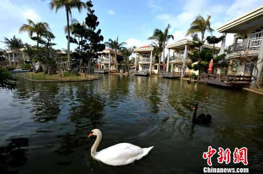 美轮美奂深受自由行游客青睐的垦丁天鹅湖(图)