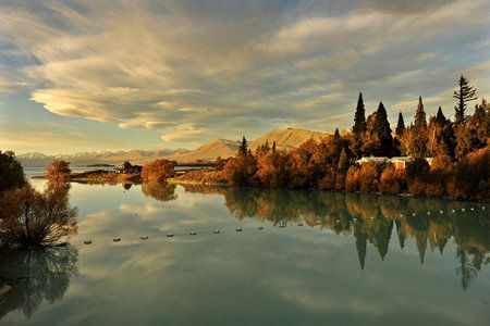 蒂卡普湖（Lake Tekapo）湖畔