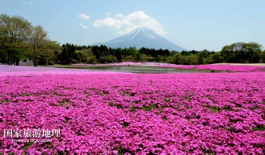 日本富士山有望在六月入选世界遗产名录(图)_