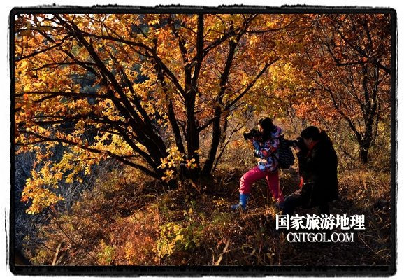 扎兰屯市五彩缤纷赏秋色“游人如织”（图）
