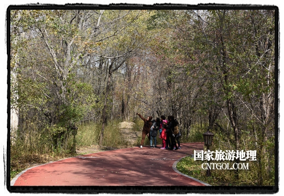 扎兰屯市五彩缤纷赏秋色“游人如织”（图）