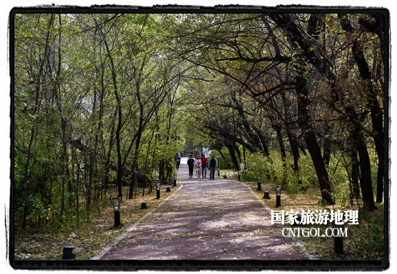 扎兰屯市五彩缤纷赏秋色“游人如织”（图）