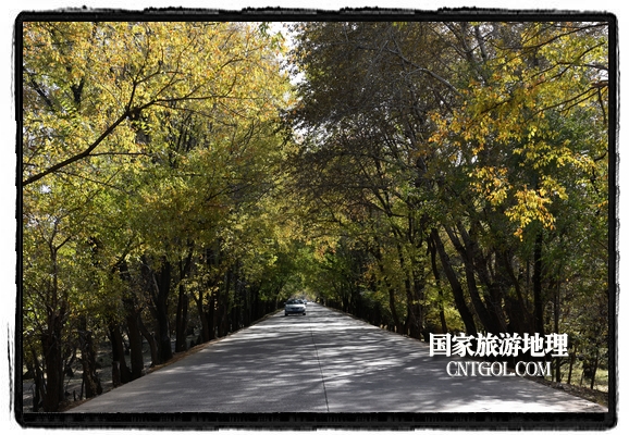 扎兰屯市五彩缤纷赏秋色“游人如织”（图）