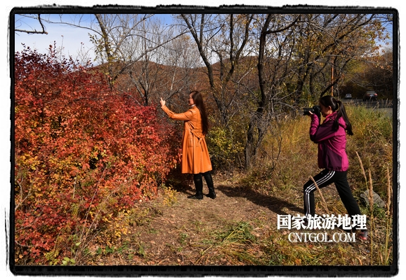 扎兰屯市五彩缤纷赏秋色“游人如织”（图）