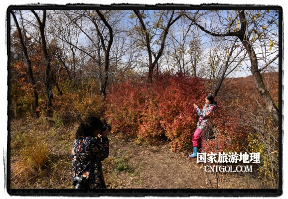 扎兰屯市五彩缤纷赏秋色“游人如织”（图）