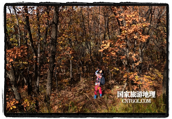 扎兰屯市五彩缤纷赏秋色“游人如织”（图）