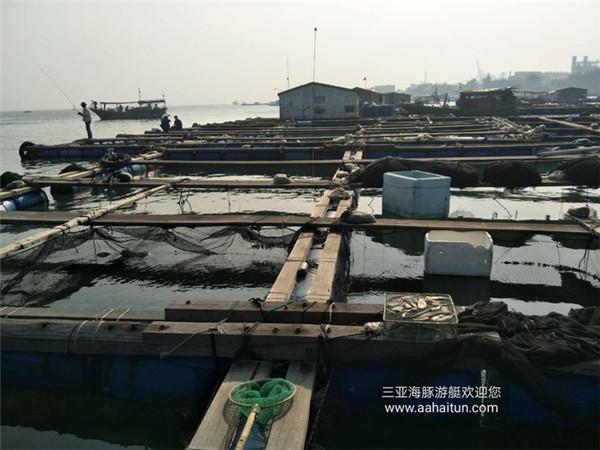 微信图片_20180114232318.jpg