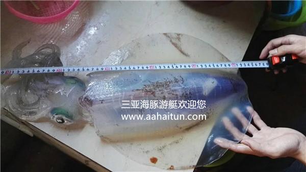 微信图片_20180125215459_副本.jpg