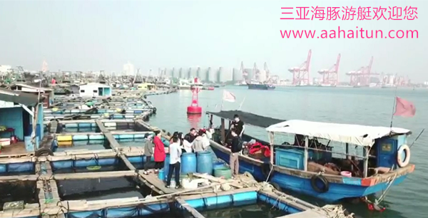 600X_水印.png