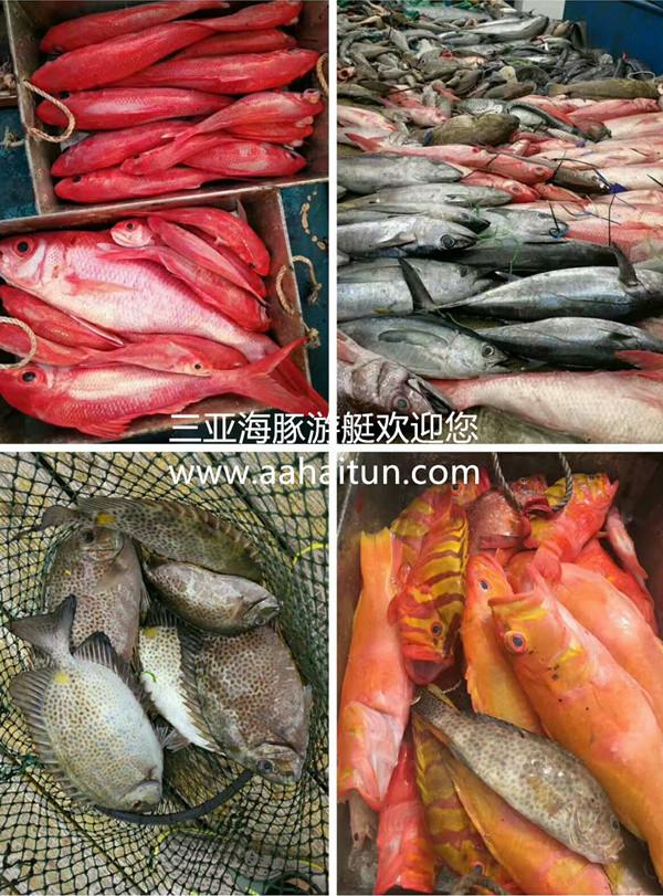 微信图片_20180127224519_副本.jpg