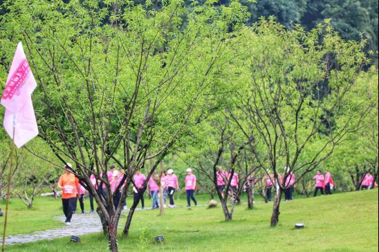 中国桃花源景区“万人穿越、全球桃跑”