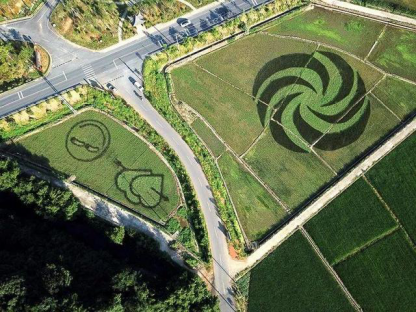 诸暨旅游收入_爱新闻诸暨这个村靠着“剪刀手”,每年收入几十万！
