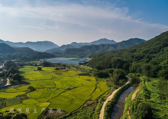 微信图片_20180810105244
