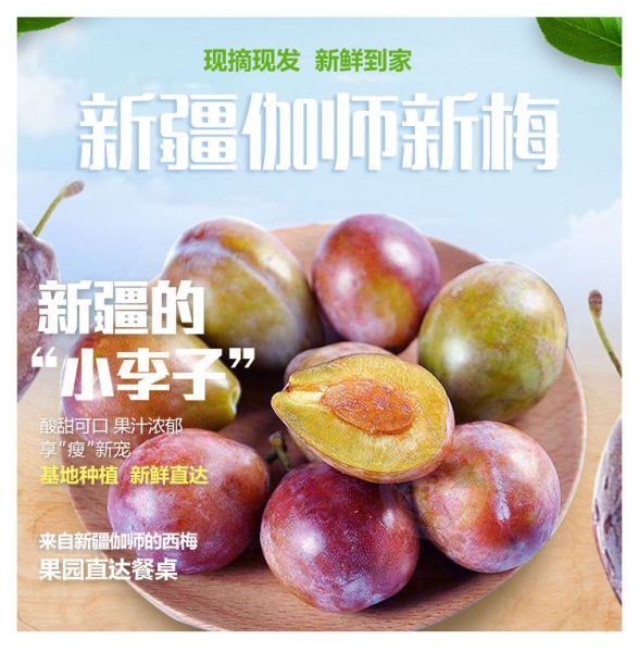 伽师新梅.jpg