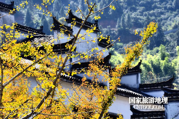 金秋时节,“中国最美乡村”婺源错落有致的徽派民居与乌桕小红枫等相映成趣,美不胜收。10月29日拍摄的婺源篁岭村金秋美景,吸引了众多游客前来观赏游玩。