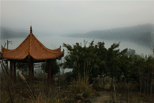 三峡“璀璨明珠”——大昌湖国家湿地公园（图）