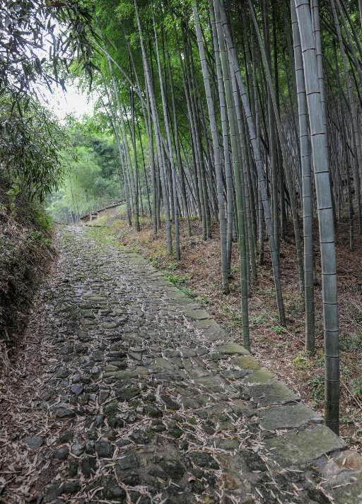 绍兴王坛镇上王村以村为背景搭建的创意产业园