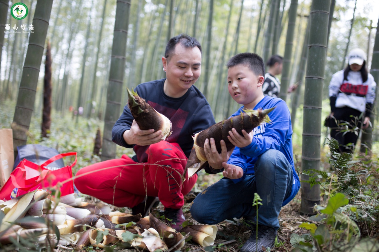如图片无法显示，请刷新页面