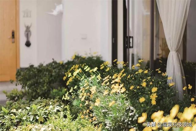 实力集团 | 致美民宿为什么要住民宿?住一次你就懂了