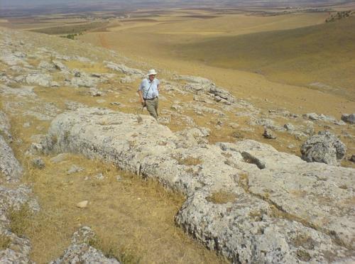 土耳其发现神秘巨石疑为伊甸园遗址(图)(2)