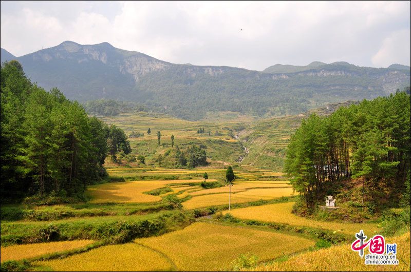 地理中国：花田梯田 挂在天边的风景