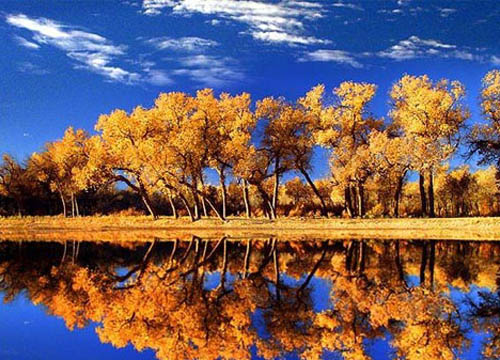 内蒙古阿拉善 美轮美奂的金色天堂