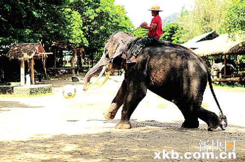 你属哪一派 春节小长假六大旅游地推荐