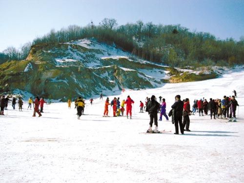 夜幕下的缤纷哈尔滨 身寒心暖的冰雪之旅