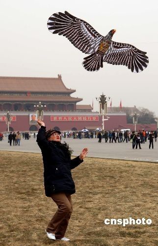 春风和煦天气好 细数北京十大放风筝好地