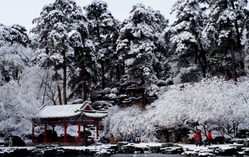 “后春节”旅行 抓住冬日的尾巴游京城十景儿