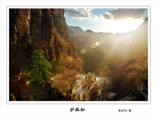 “天下赵氏,根在藏山” ——赵氏族人免费寻根旅游 “天下赵氏,根在藏山” ——赵氏族人免费寻根旅游