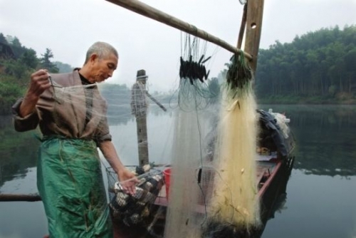 古城竹海已泛青翠 相约湖南洪江的无垠花海 古城竹海已泛青翠 相约湖南洪江的无垠花海