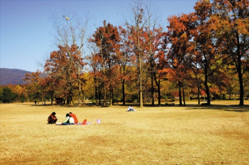 藏在城市里的春日密语 盘点国内各大知名植物园