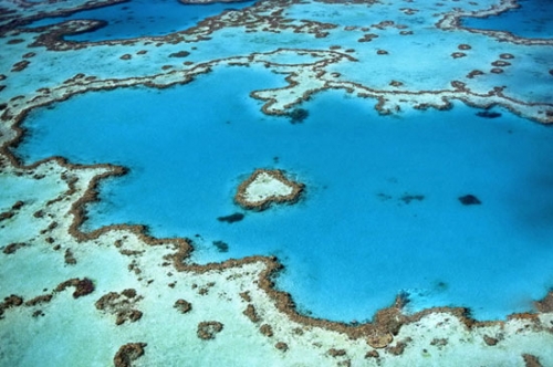 揭秘全球最大最长珊瑚礁群 大堡礁生态旅游攻略