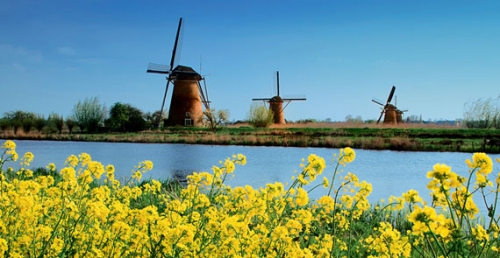 从阿姆斯特丹到海牙 荷兰春色满盈的观景大道