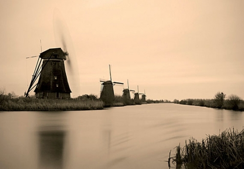 从阿姆斯特丹到海牙 荷兰春色满盈的观景大道