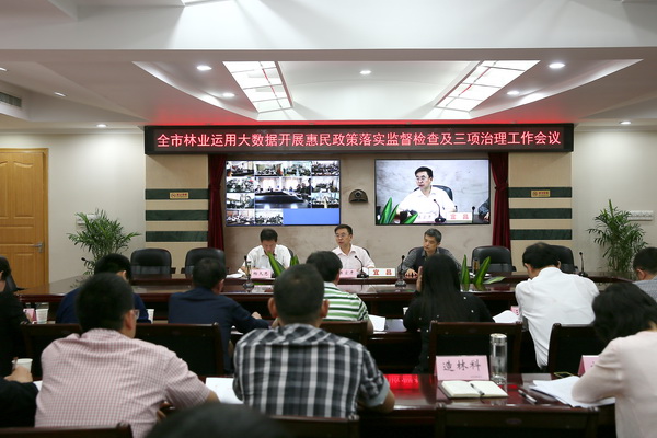 市林业系统召开运用大数据开展惠民政策落实情