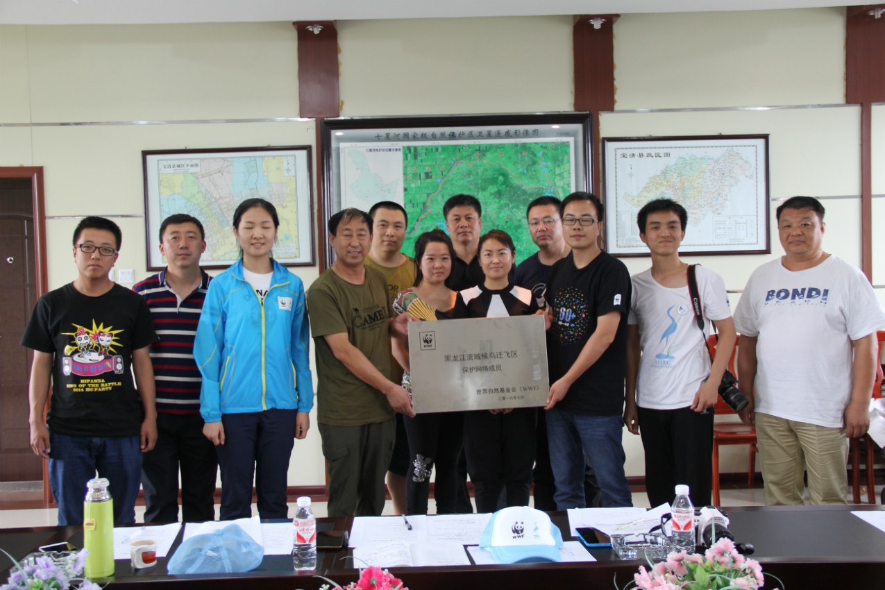 世界自然基金会(WWF)到七星河湿地进行保护