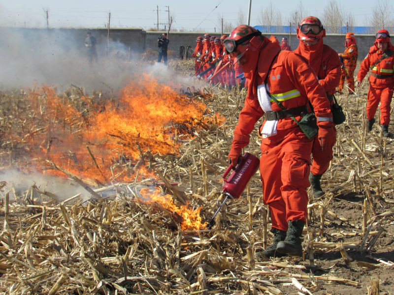 内蒙古科尔沁国家级自然保护区管理局 积极开