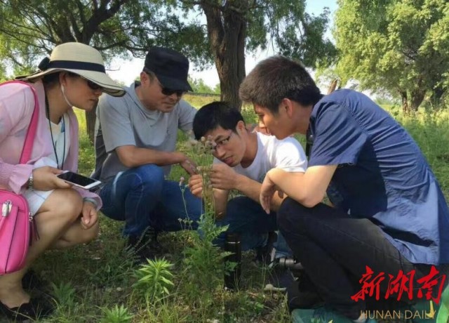 1495178082676842.jpg 岳阳开办首个自然教育培训班 阅读自然之美