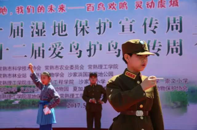 百鸟欢鸣,灵动虞城——沙家浜国家湿地公园爱鸟周活动拉开帷幕