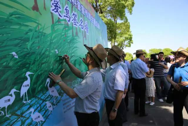 百鸟欢鸣,灵动虞城——沙家浜国家湿地公园爱鸟周活动拉开帷幕