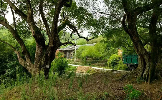 永泰溪口村以旅游为突破 打造“醉美”乡村1 永泰溪口村以旅游为突破打造“醉美”乡村