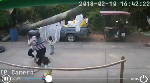 惊险!泰国街头一老树突然倒向小孩险酿悲剧